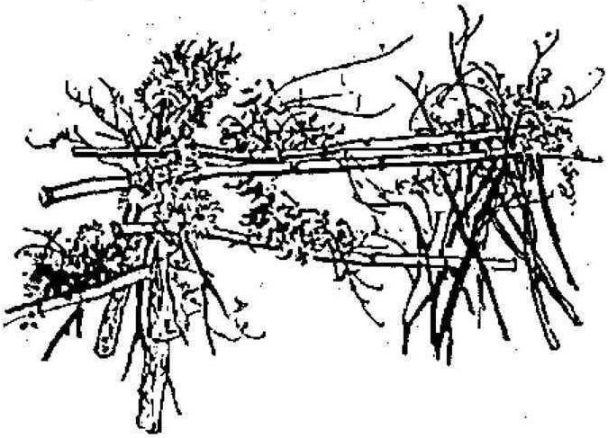 1.3.1 插花藝術(shù)的類型